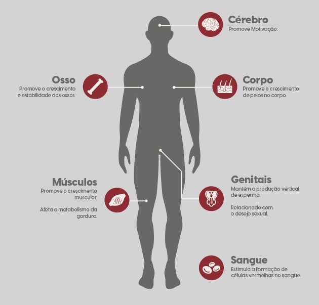 5 ideias de títulos:
1. Os 10 Melhores Alimentos para Elevar sua Testosterona
2. Exercícios de Força: O Segredo para Aumentar a Testosterona
3. Sono e Estresse: Como Gerenciá-los para Otimizar a Testosterona
4. Suplementação Inteligente: Vitamina D