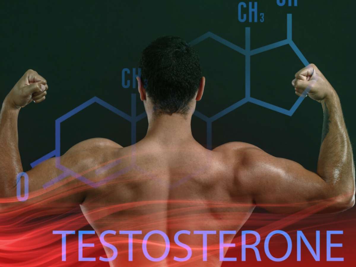 Zinco e Magnésio para Testosterona
5. Quando a Medicina Entra em Jogo: Opções para Baixa Testosterona