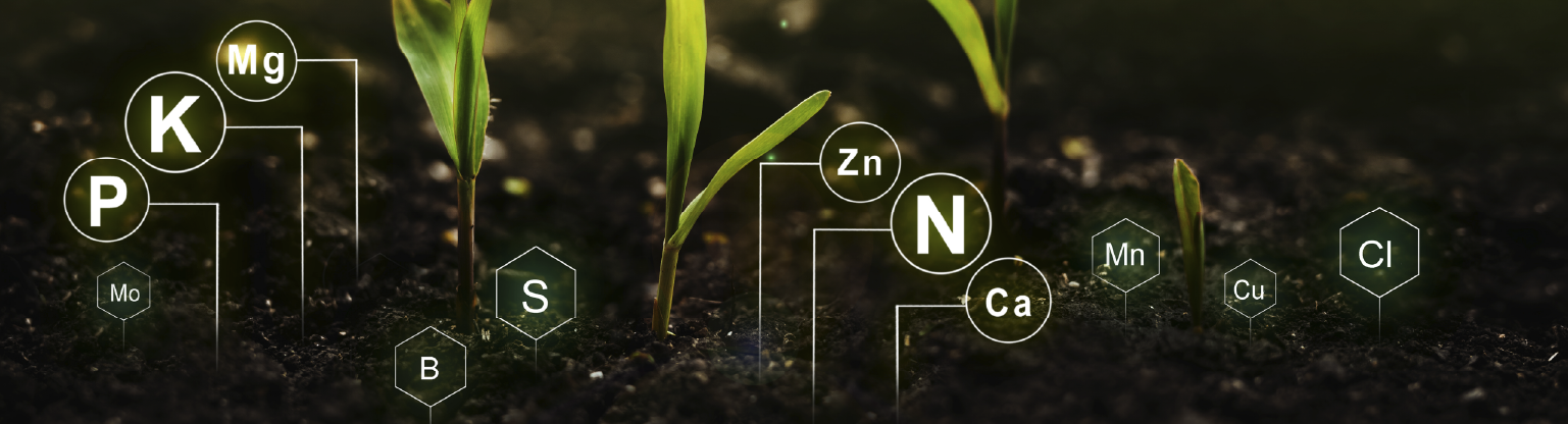1. Como na Serie A: Análise da Temporada 2025/2026
2. Desempenho do Como: Pontos Fortes e Fracos
3. Como Women: O Sucesso da Equipe Feminina
4. Próximos Jogos do Como: O Que Esperar?
5. Artilheiros do Como: Destaques da Temporada