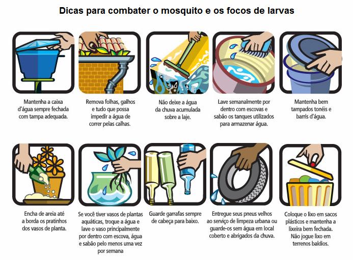 curar a dengue em 72 horas