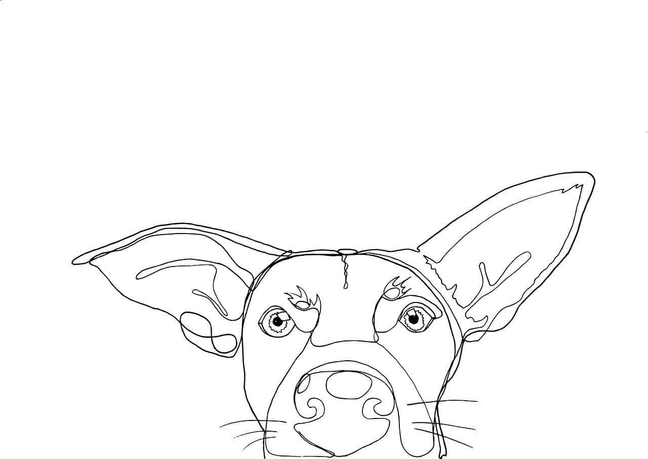 desenhar um cachorro