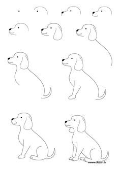 5 ideias de títulos:
1. Desenhando seu primeiro cachorro: Um guia completo para iniciantes.
2. Do círculo ao focinho: Aprenda a desenhar um cachorro em poucos passos.
3. Dicas de ouro para quem quer desenhar cachorros como um profissional.
4. Transforme o número 6 em um cachorro adorável: Técnica criativa.
5. Os segredos para desenhar cachorros realistas (mesmo sem experiência).