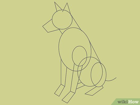 5 ideias de títulos:
1. Desenhando seu primeiro cachorro: Um guia completo para iniciantes.
2. Do círculo ao focinho: Aprenda a desenhar um cachorro em poucos passos.
3. Dicas de ouro para quem quer desenhar cachorros como um profissional.
4. Transforme o número 6 em um cachorro adorável: Técnica criativa.
5. Os segredos para desenhar cachorros realistas (mesmo sem experiência).