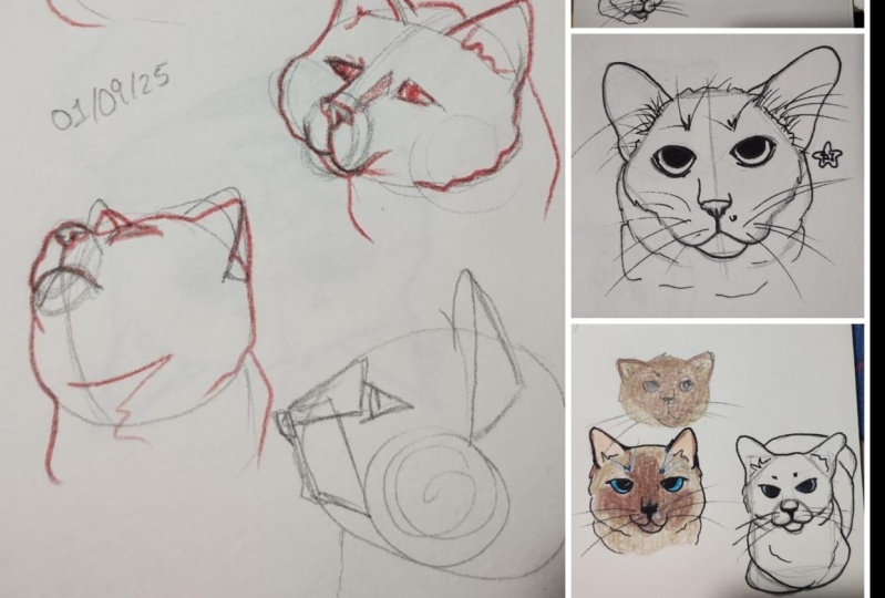 Como Desenhar um Gato Realista em 5 Passos Simples