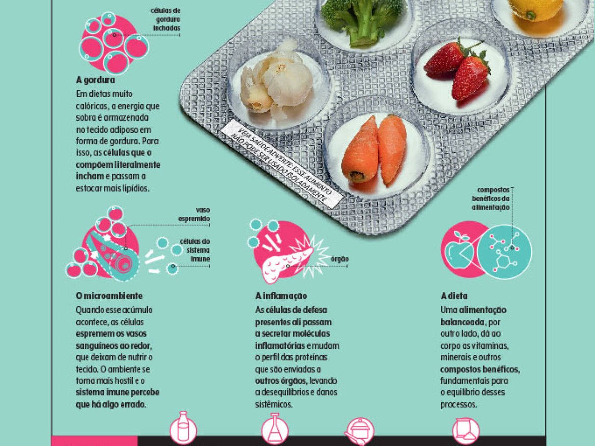 Receitas anti-inflamatórias rápidas para o dia a dia