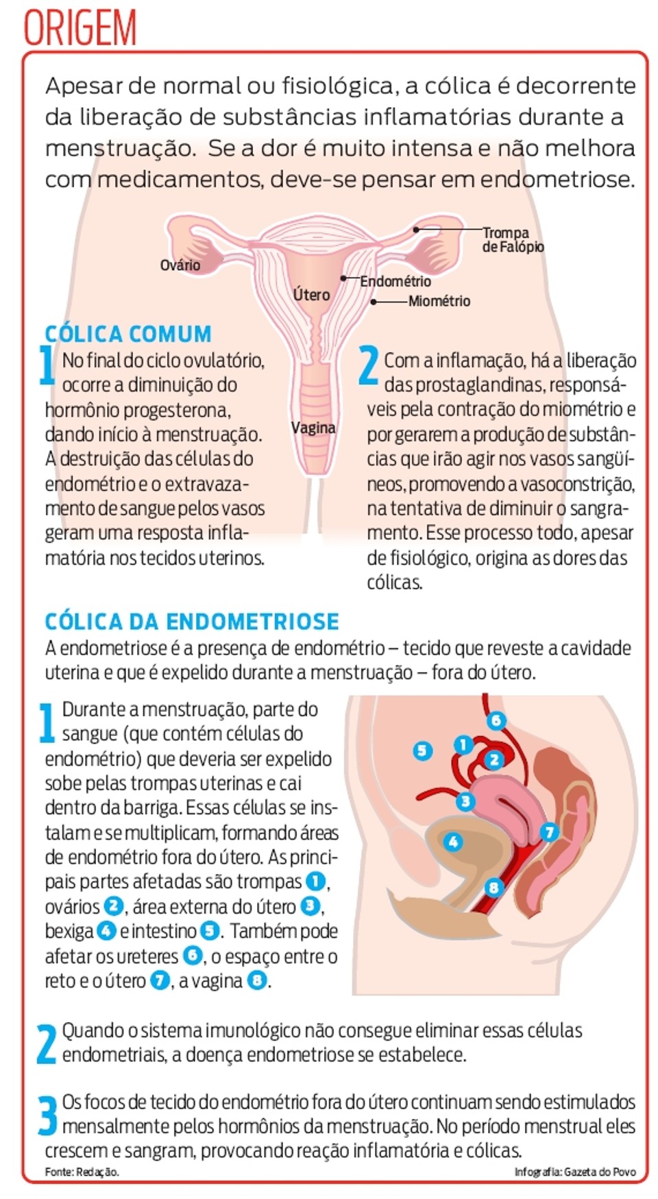 Dor na Barriga em Mulheres: Causas Ginecológicas e Urológicas