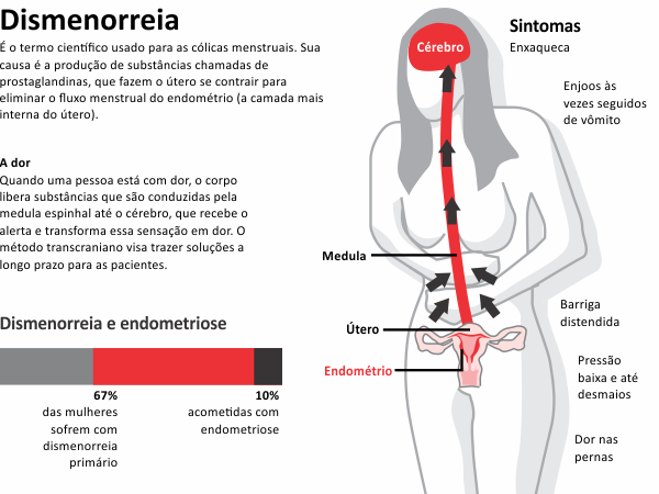 Cólica Abdominal: Guia Completo de Sintomas e Tratamentos