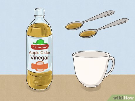 O papel da hidratação e nutrição no ciclo menstrual