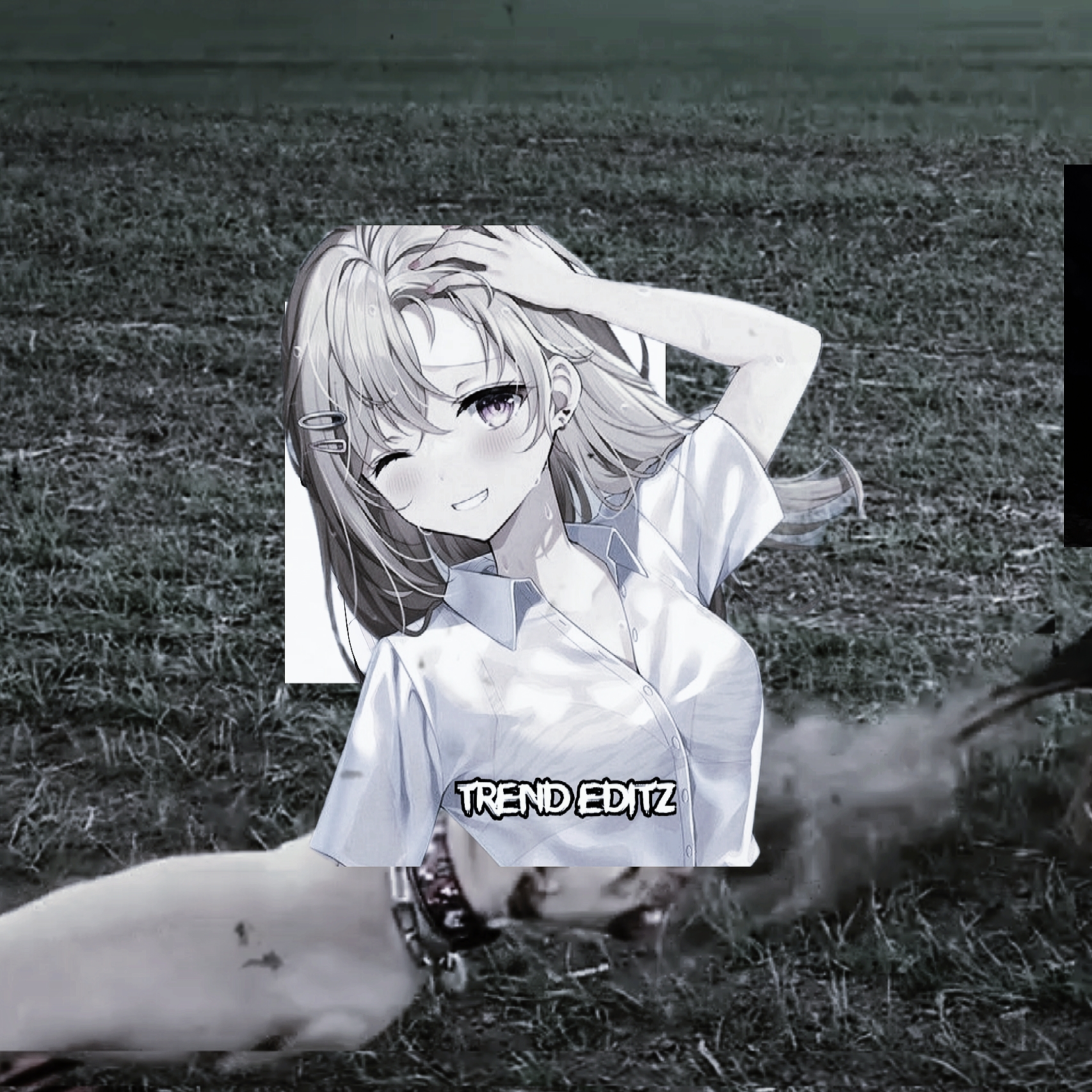 5 ideias de títulos