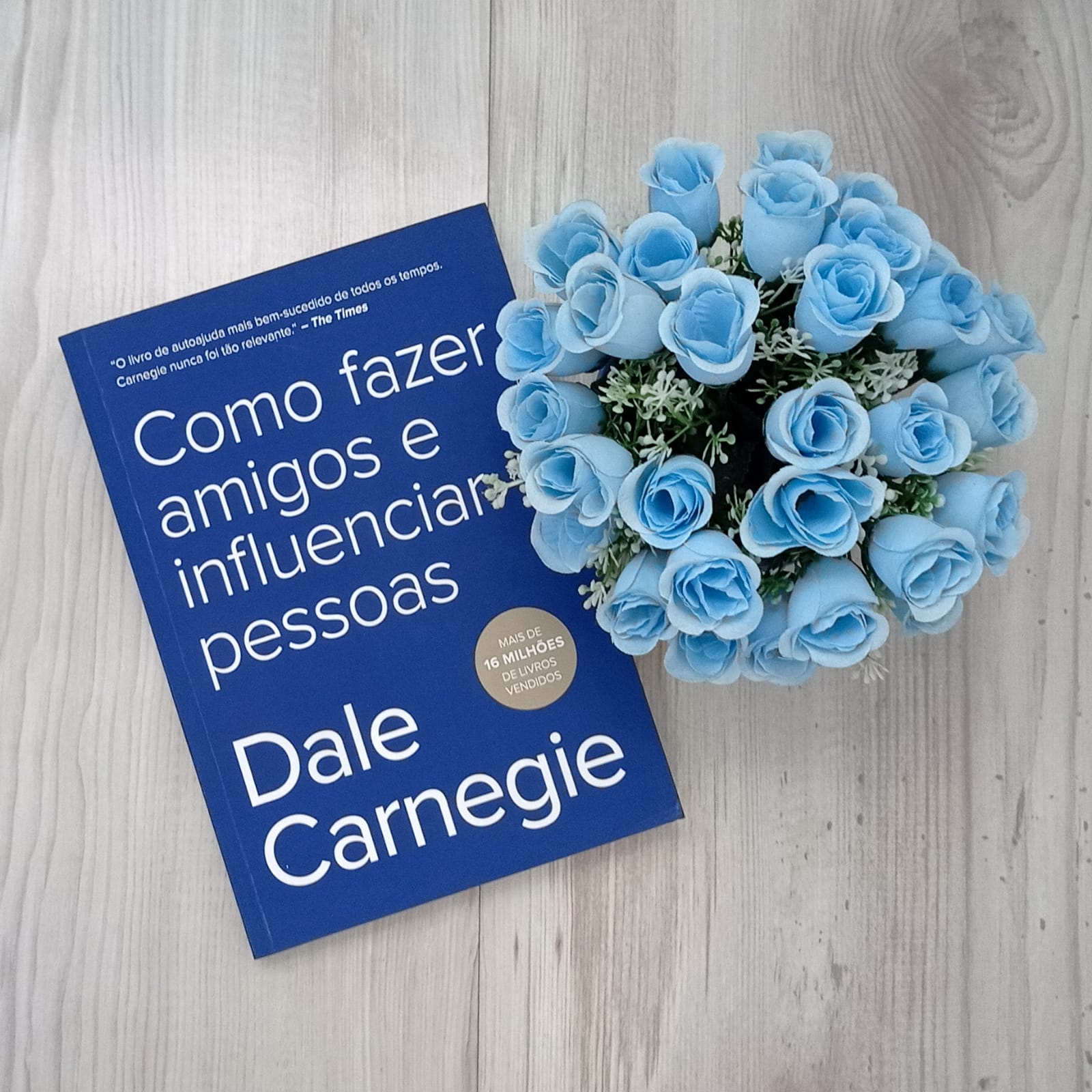 fazer amigos e influenciar pessoas