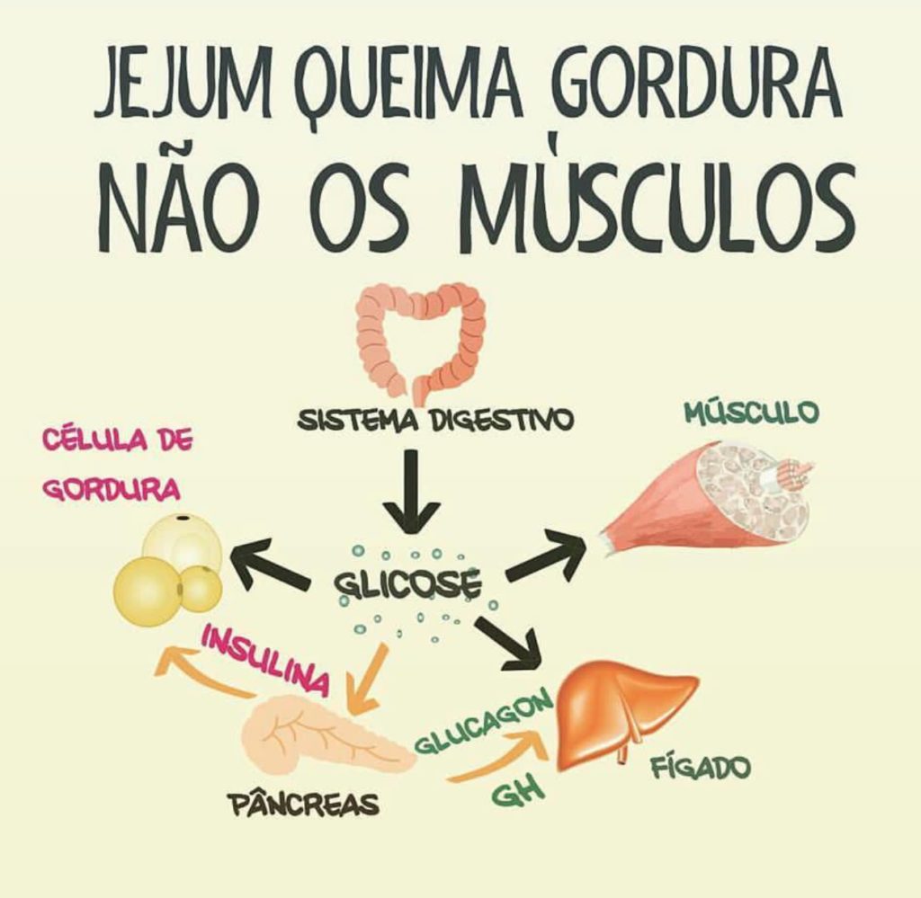 Benefícios e Riscos do Jejum Intermitente: O Que Você Precisa Saber