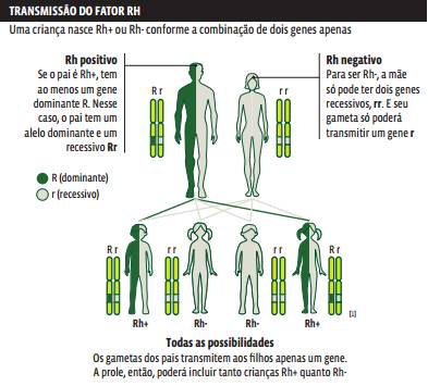 5 ideias de títulos:
1. Descubra seu Tipo Sanguíneo: Um Guia Completo
2. Tipagem Sanguínea: O Que Você Precisa Saber
3. Doação de Sangue: Salve Vidas e Conheça Seu Tipo Sanguíneo
4. Onde Encontrar Informações Sobre Seu Tipo Sanguíneo
5. Mitos e Verdades Sobre a Tipagem Sanguínea