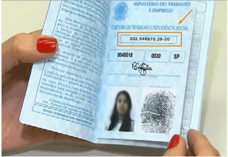 Como consultar o NIS pelo CPF: Guia Completo