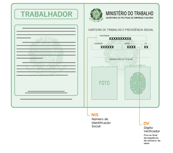 NIS vs PIS vs NIT: Entenda as Diferenças