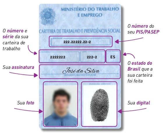 Guia Definitivo do Cadastro Único: O que é e como acessar