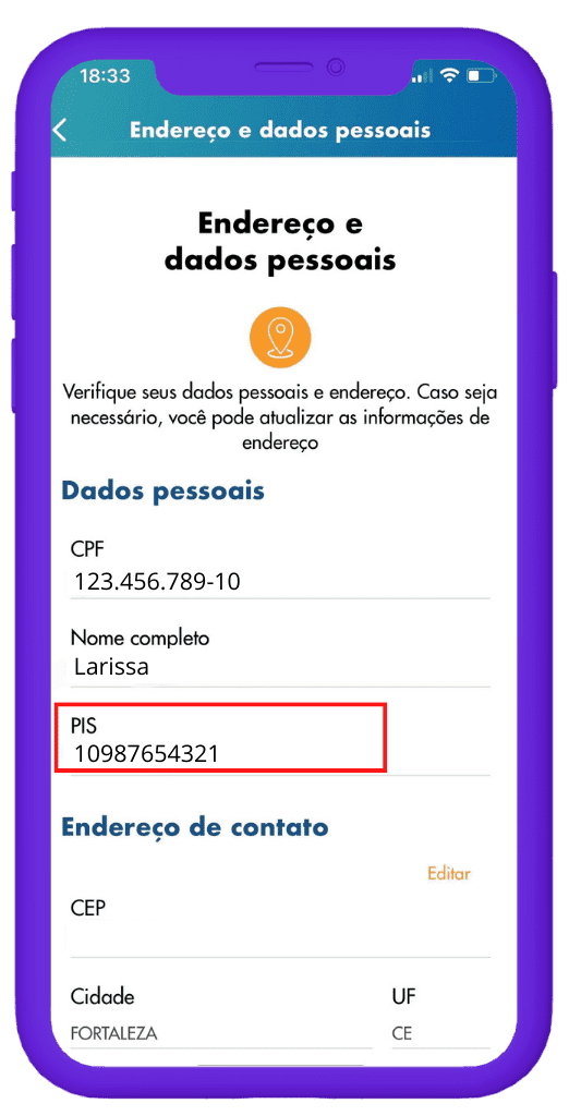 saber o numero do pis