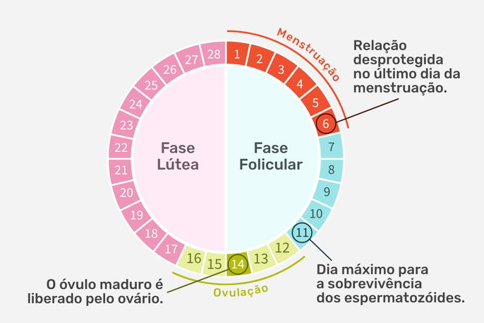Entendendo o Ciclo Menstrual: Guia Completo para Identificar a Ovulação