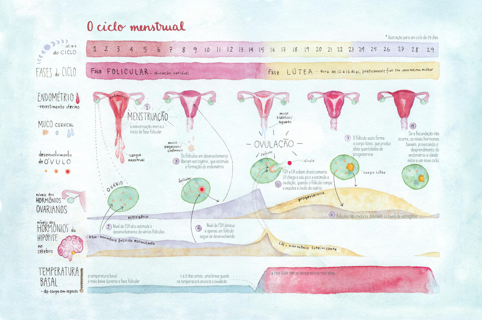 Ciclos Menstruais Irregulares: Causas, Consequências e Como Lidar